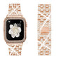 Bracelet pour Apple Watch