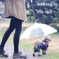 Laisse de promenade pour animaux de compagnie avec parapluie intégré, parfaite pour l'hiver